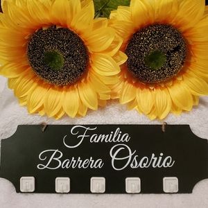 Mask Hanger or 🔑 key